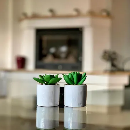 Daire Lesny Z Kominkiem - Viva Pod Giewontem Zakopane