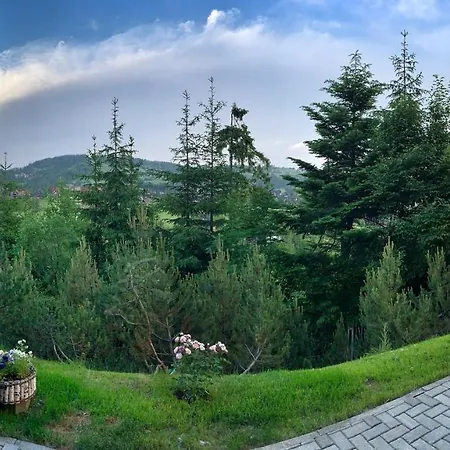 Daire Lesny Z Kominkiem - Viva Pod Giewontem *