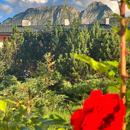 Lesny Z Kominkiem - Viva Pod Giewontem *