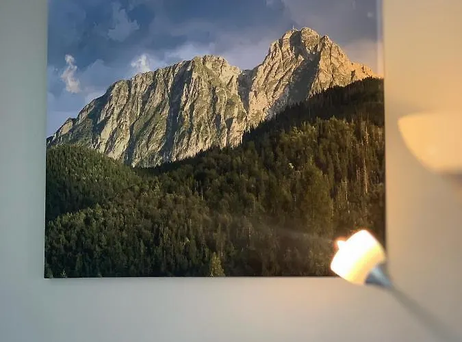 Lesny Z Kominkiem - Viva Pod Giewontem アパート ザコパネ