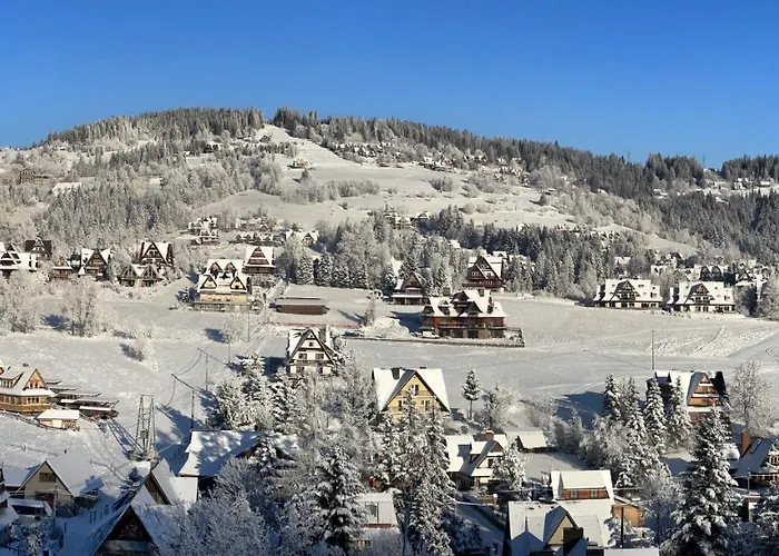 Lesny Z Kominkiem - Viva Pod Giewontem アパート ザコパネ