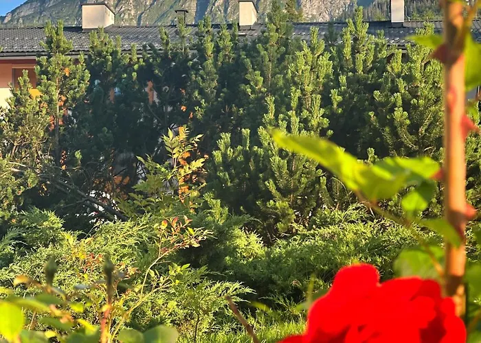 Lesny Z Kominkiem - Viva Pod Giewontem *